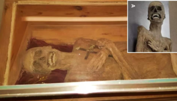 279-Year-Old Austrian Mummy Reveals Mysterious Embalming Method Never Seen Before
